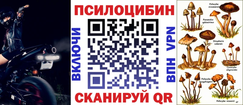 Купить закладки  Катав-Ивановск  Галлюциногенные грибы мицелий 